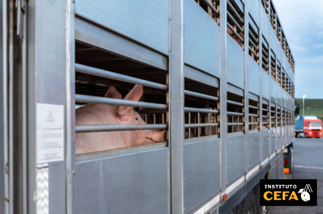 Bienestar animal en el transporte